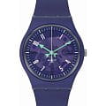 Часы Swatch Gent Biosourced Standard SO28V102