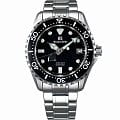 Часы Seiko Grand Seiko SBGA231G